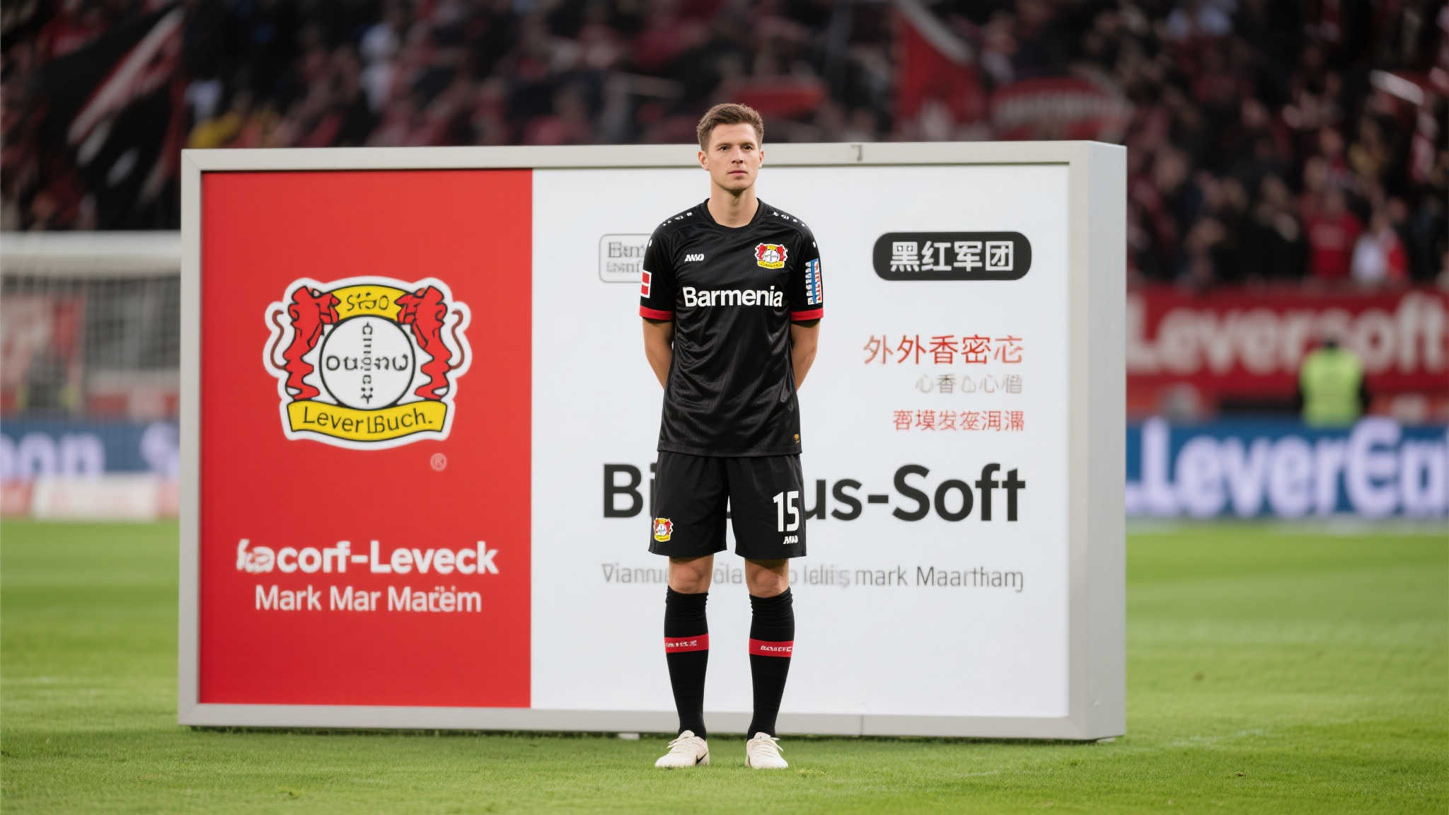 世界杯买球平台